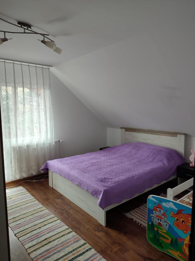 ホテル Casa Irilen Mînăstirea Humorului エクステリア 写真